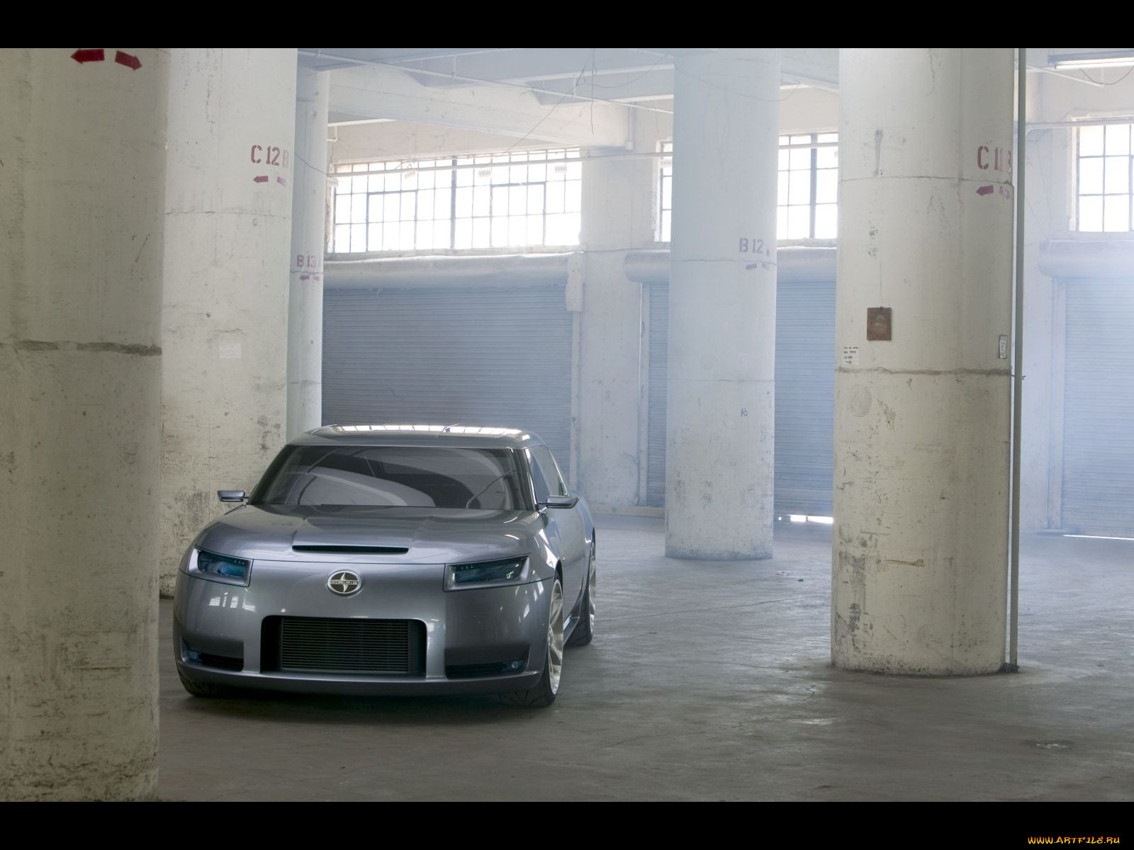, scion